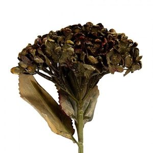Zelená umělá dekorace sušená květina hortenzie - 15*15*47 cm 6PL0404GR obraz