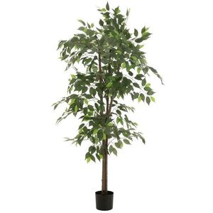 Dekorace umělá rostlina fíkus v květináči Ficus Tree - Ø 80*180 cm 54368 obraz