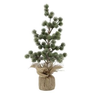 Zelený ojíněný vánoční cedrový stromek v jutě Fleur Cedar Tree - 44 cm 39116221 obraz