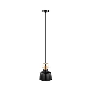 Eglo 49692 - Závěsné svítidlo BODMIN 1xE27/60W 49692 obraz