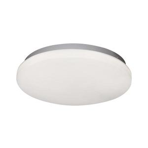 GLOBO 41003-20 - LED Stropní svítidlo TARUG 1xLED/20W/230V 41003-20 obraz