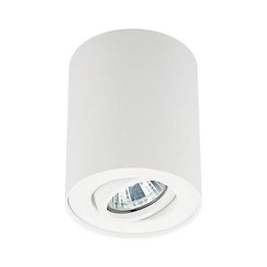 Zuma Line 20038-WH - Bodové svítidlo RONDOO SL 1 1xGU10/50W/230V bílá 20038-WH-N obraz