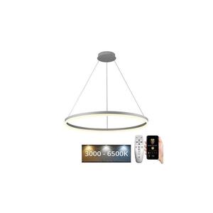 LED Stmívatelný lustr na lanku LED/55W/230V 3000-6500K + dálkové ovládání J4309/W obraz
