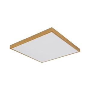 Globo 12382-30 - LED Stropní svítidlo TIBEY LED/30W/230V 45x45 cm 12382-30 obraz