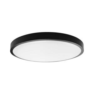 LED Koupelnové stropní svítidlo LED/18W/230V 4000K IP44 černá 76341 obraz