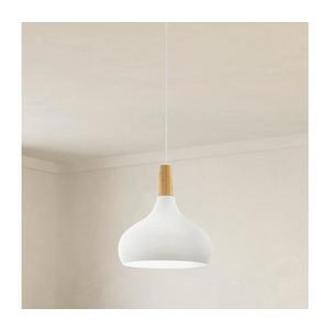Eglo 901178-Lustr na lanku SABINAR 1xE27/60W/230V pr.28cm bílá- 901178 obraz