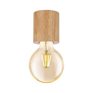 Eglo 901171 -Stropní svítidlo TURIALDO 1xE27/28W/230V 901171 obraz