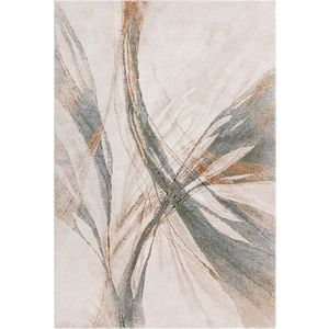 Modrý/krémový koberec 200x290 cm Mirage Illusion – Asiatic Carpets obraz