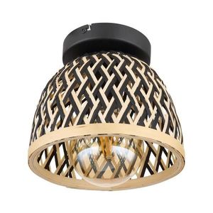 Globo 15767D1 - Stropní svítidlo COLLY 1xE27/15W/230V 15767D1 obraz