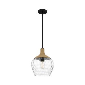 Elstead Quoizel QZ-ROYER-1P-MBK - Lustr na tyči ROYER 1xE27/60W/230V pr. 30, 2 cm QZ-ROYER-1P-MBK obraz