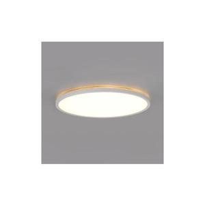 LED Koupelnové stropní svítidlo NIVERA LED/12W/230V IP54 pr. 22, 5 cm bílá 004086 obraz