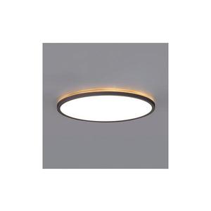 LED Koupelnové stropní svítidlo NIVERA LED/12W/230V IP54 pr. 22, 5 cm černá 004087 obraz