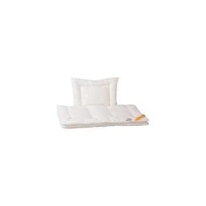 HomeDoctor - Antibakteriální polštář ECZEMATIC 40x60 cm + přikrývka 100x135 cm 651 obraz