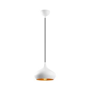 Lustr na lanku DODO 1xE27/40W/230V bílá 584TTM1140 obraz