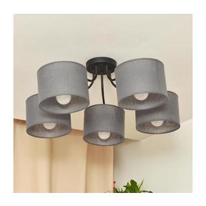 Přisazený lustr ALBA 5xE27/15W/230V šedá P-2015/5 BK+GR obraz