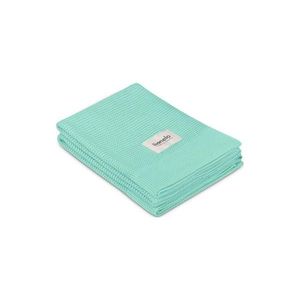 Lionelo - Bambusová deka BAMBOO BLANKET 75x100 cm Green Mint 5903771707091 obraz