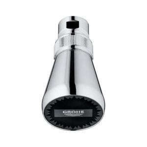 GROHE 28094000 - Hlavová sprcha 50 mm lesklý chrom 28094000 obraz