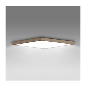 Brilagi -LED Koupelnové stropní svítidlo FRAME LED/50W/230V 60x60 cm IP44 béžová WO02-BEI-OEM obraz