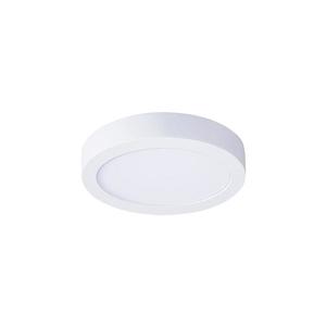 WD170 - LED Stropní svítidlo LED/12W/230V 3000/4000/6000K pr. 17 cm bílá WD170 obraz
