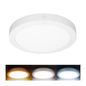 WD244-W - LED Panel 2v1 24W/230V 3000/4000/6000K pr. 30 cm IP54 bílá WD244-W obraz