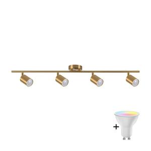 LED RGBW Stmívatelné bodové svítidlo GOLDI 4xGU10/6, 5W/230V zlatá SA2171+2xAI1829 obraz