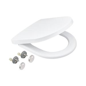 GROHE 42473000 - WC sedátko SOLIDO COMPACT durobílá 42473000 obraz