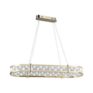LED Stmívatelný lustr na lanku ENRIQUE LED/50W/230V 3000-6000K +dálkové ovládání N2003 obraz