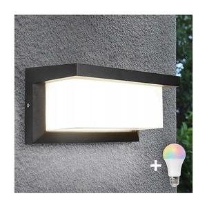 LED RGBW Stm. venkovní nástěnné svítidlo NEELY 1xE27/9W/230V IP54 antracit BW0296+AI0819 obraz