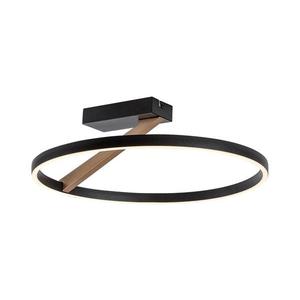 Rabalux 71351 - LED Stropní svítidlo RENARA LED/24W/230V 3000K pr. 45 cm 71351 obraz