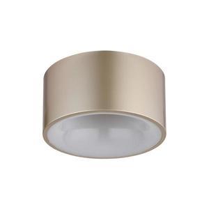 Globo 56964G - LED Stropní svítidlo RAYMOND LED/12W/230V pr. 15 cm 3000K mosaz 56964G obraz