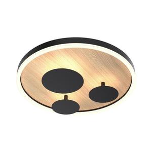 Wofi 9013-306S - LED Stmívatelné stropní svítidlo REIMS LED/26W/230V 9013-306S obraz