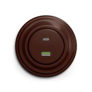 lap - Retro USB zásuvka A+C s rámečkem hnědá KA0034+KA0079 obraz