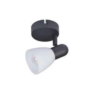 Rabalux 73091 - Bodové svítidlo SOMA 1xE14/40W/230V 73091 obraz