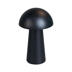 Rabalux 76036 - LED Stm. dot. ven. lampa MIREO 1, 5W/5V IP44 1200 mAh USB černá 76036 obraz