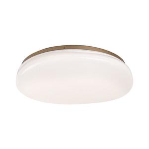 Rabalux 75053 - LED Koupel. stropní svítidlo CALIOPE LED/24W/230V IP44 pr. 41 cm 75053 obraz