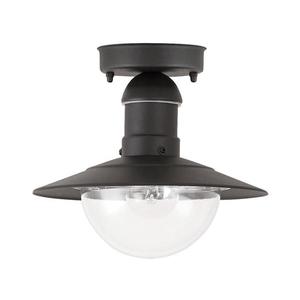 Brilagi - Venkovní stropní svítidlo MOLDE 1xE27/60W IP44 černá 63028 obraz