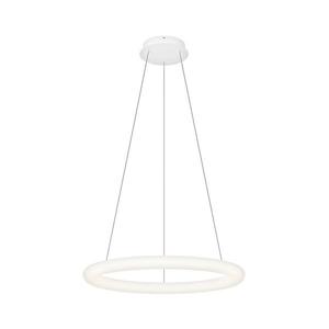 Top Light -LED Stmívatelný lustr na lanku RINGO LED/40W/230V 3000-6500K bílá+DO Ringo 60Z RC obraz