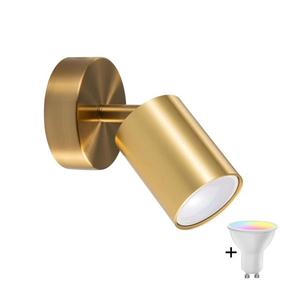 LED RGBW Stmívatelné nástěnné bodové svítidlo GOLDI 1xGU10/6, 5W/230V zlatá SA2134+AI0414 obraz