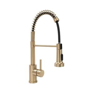REA-B4821 - Dřezová baterie s vytahovací sprškou COLIN 42, 5 cm broušená zlatá REA-B4821 obraz