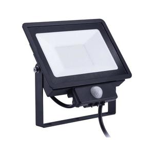 Philips - LED Reflektor se senzorem DECOFLOOD LED/50W/230V IP65 CRI 90 8710163338972 obraz