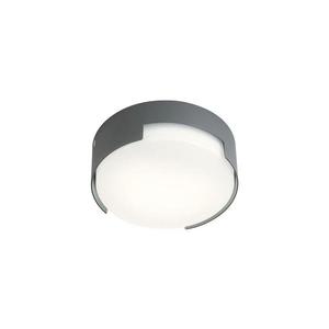 Redo 90003 - LED Venkovní stropní svítidlo SKOR LED/12W/230V IP54 šedá 90003 obraz