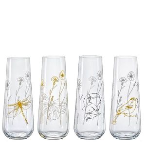 Crystalex Sklenice na prosecco MEADOW 250 ml, 4 ks obraz