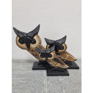 Tuin 91426 Dřevěné sošky sovičky, sada 3 ks obraz