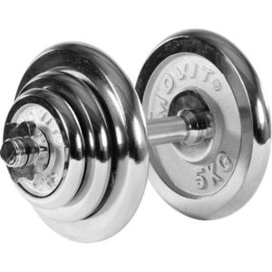 Movit Jednoruční činka chrom 20 kg obraz
