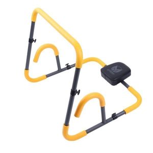 Gorilla Sports AB Roller, 56 x 67 x 56 cm obraz