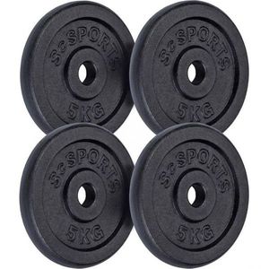 SCSports Sada litinových kotoučů, 4 x 5 kg obraz