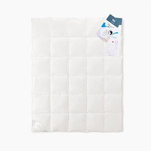 FDM Celoroční přikrývka GOOSE FEATHER 200x220 cm bílá obraz