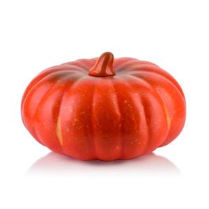 Mondex Since 1986R Dekorativní dýně MAVE 18x12, 5 cm oranžová obraz