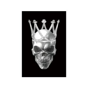 Signal Obraz Skull 80x120 černý/stříbrný obraz