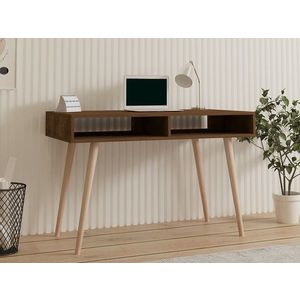 Kalune Design Psací stůl NOVO ořech obraz
